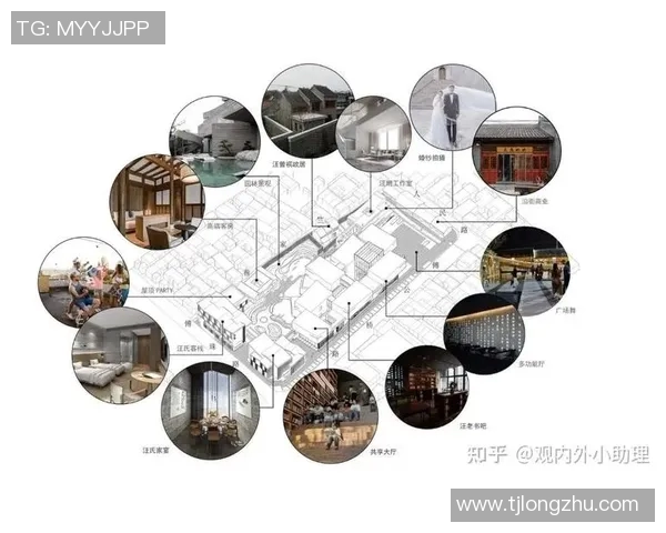 探索多曼的魅力与价值：从历史渊源到现代应用的全景分析